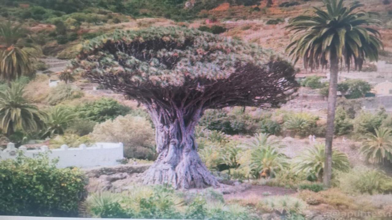 Tradicional Casa Canaria Con Piscina Y Vistas Al Teide Icod de los Vinos Kültér fotó